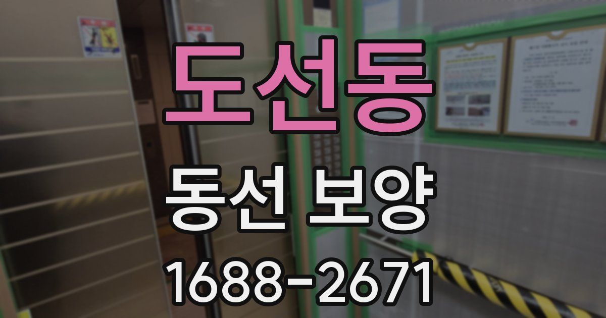 도선동 동선 보양