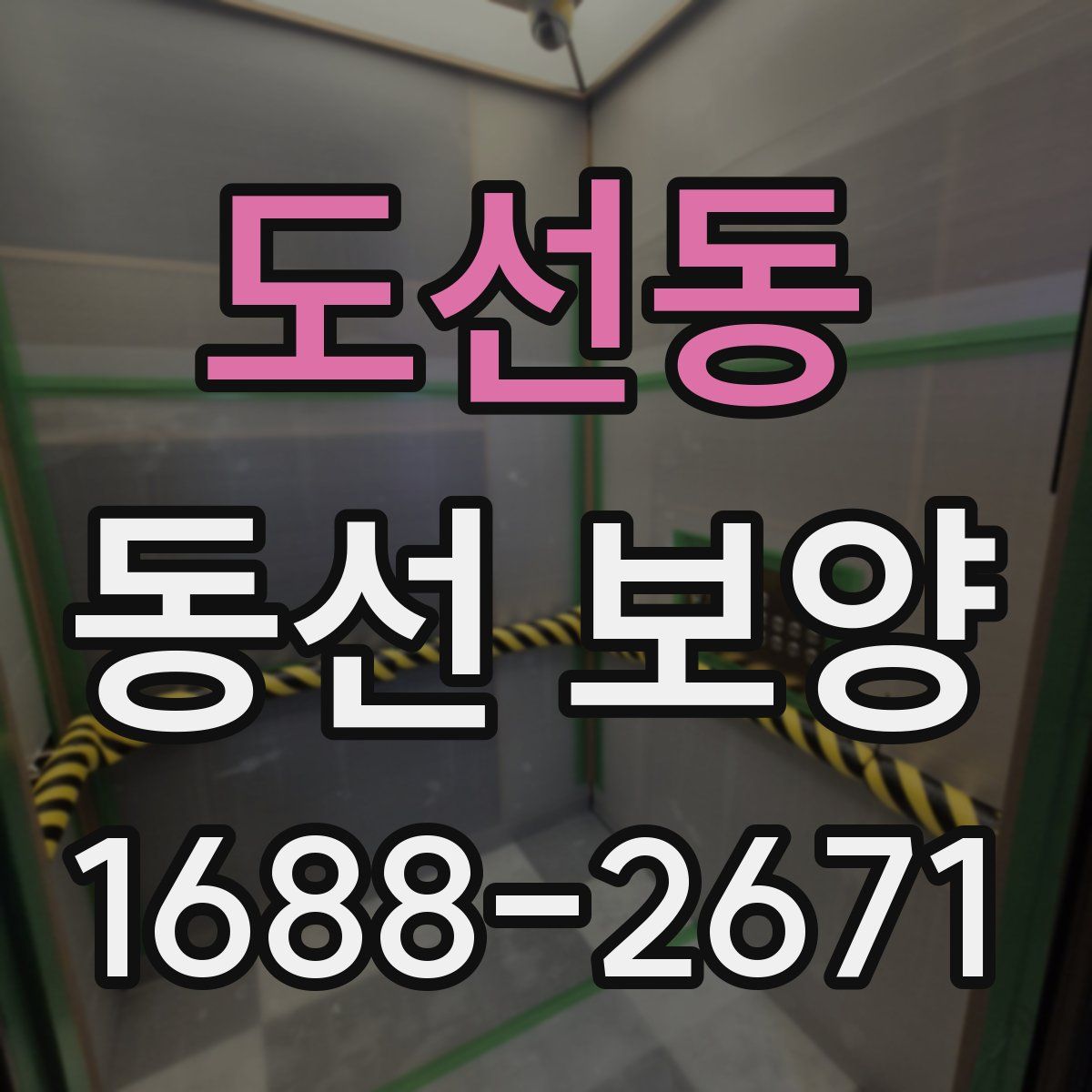 도선동 동선 보양