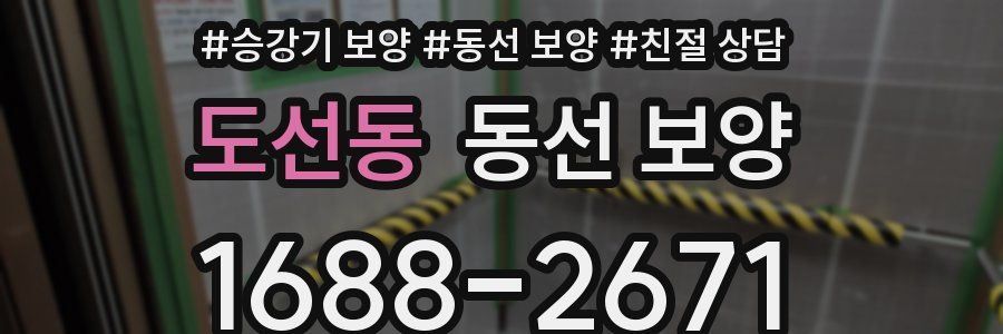 도선동 동선 보양