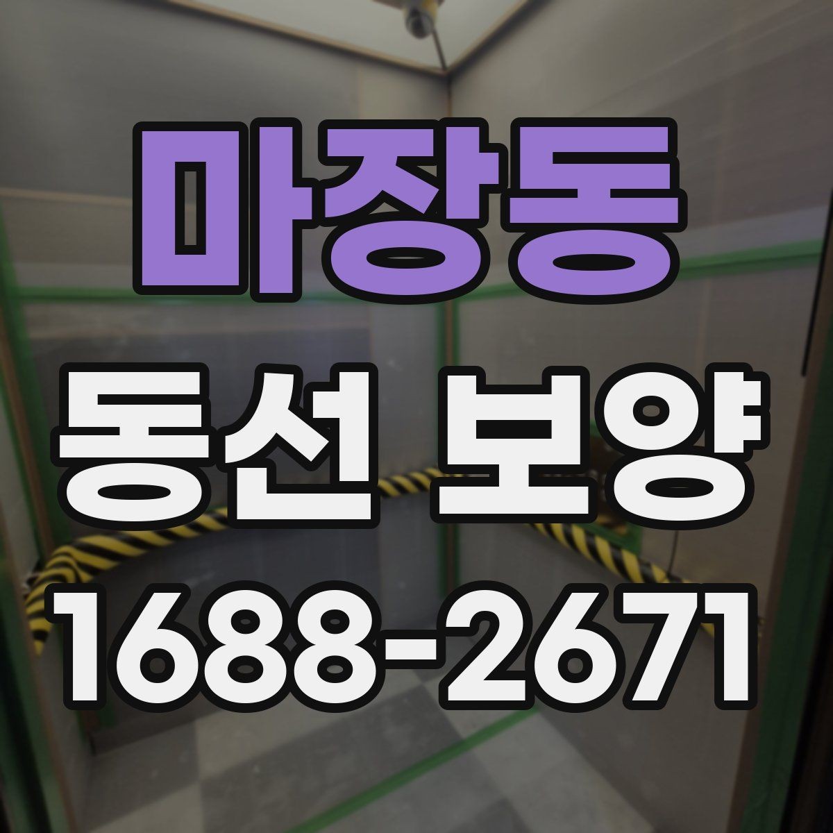 마장동 동선 보양 전후로 체크해야 할 사항