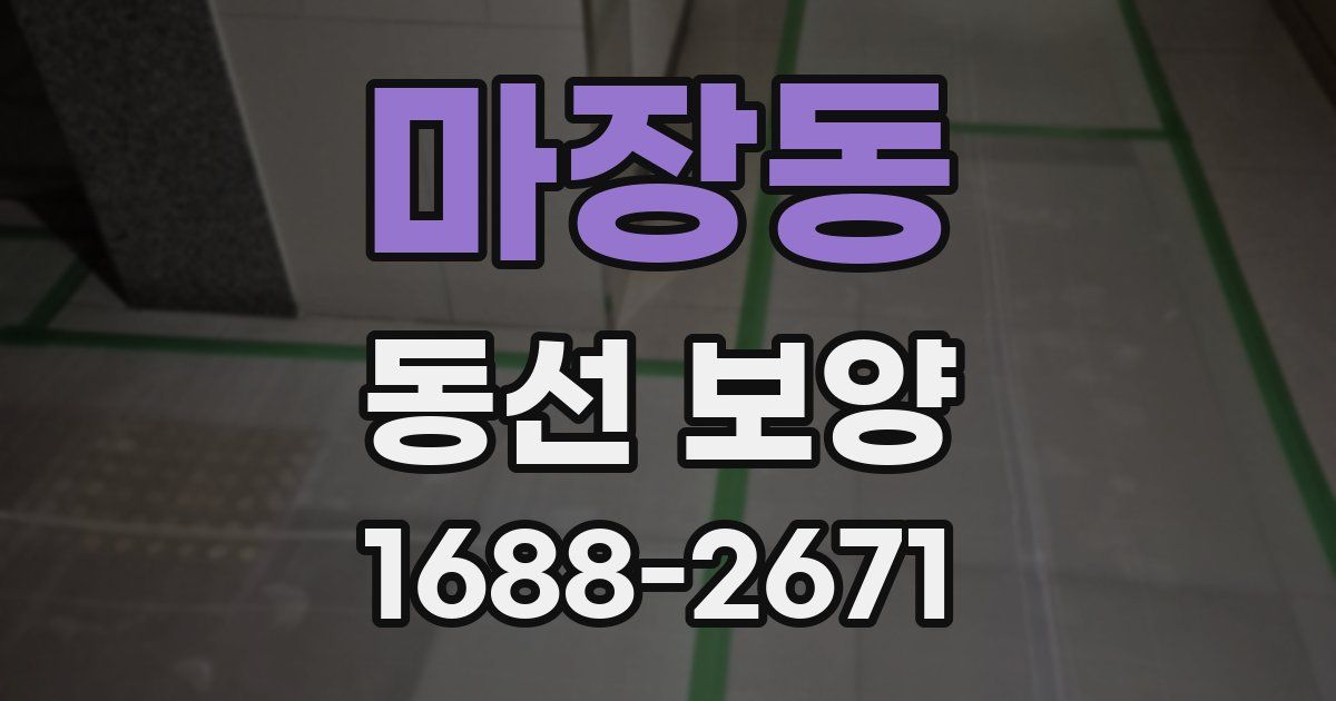 마장동 동선 보양