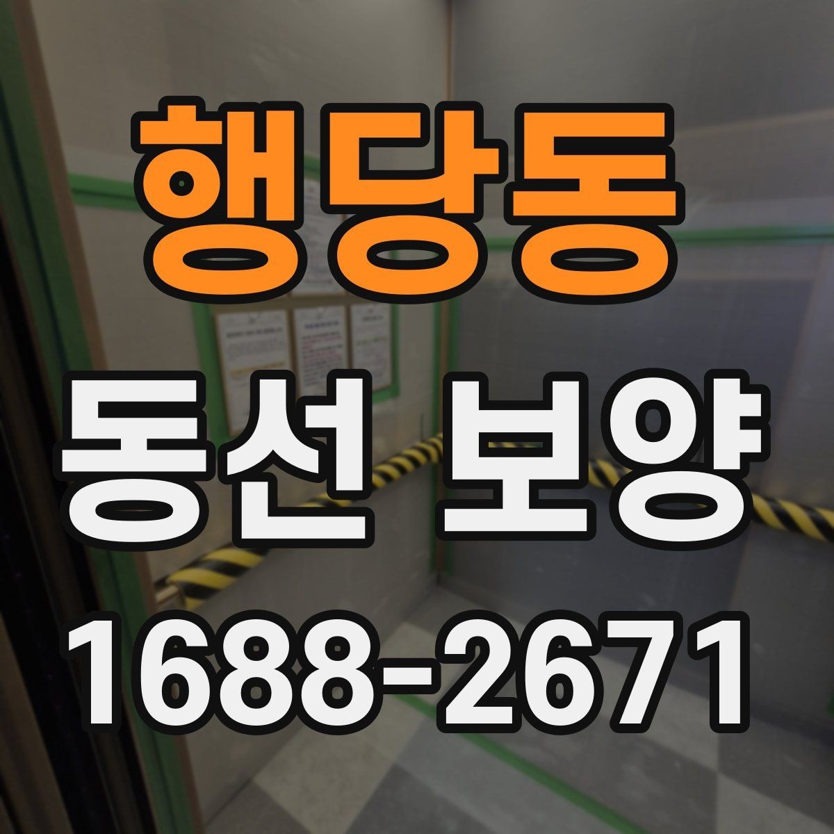 행당동 동선 보양 시공 전 꼭 확인할 점