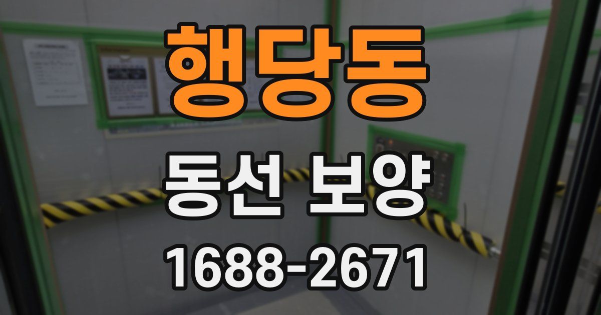 행당동 동선 보양