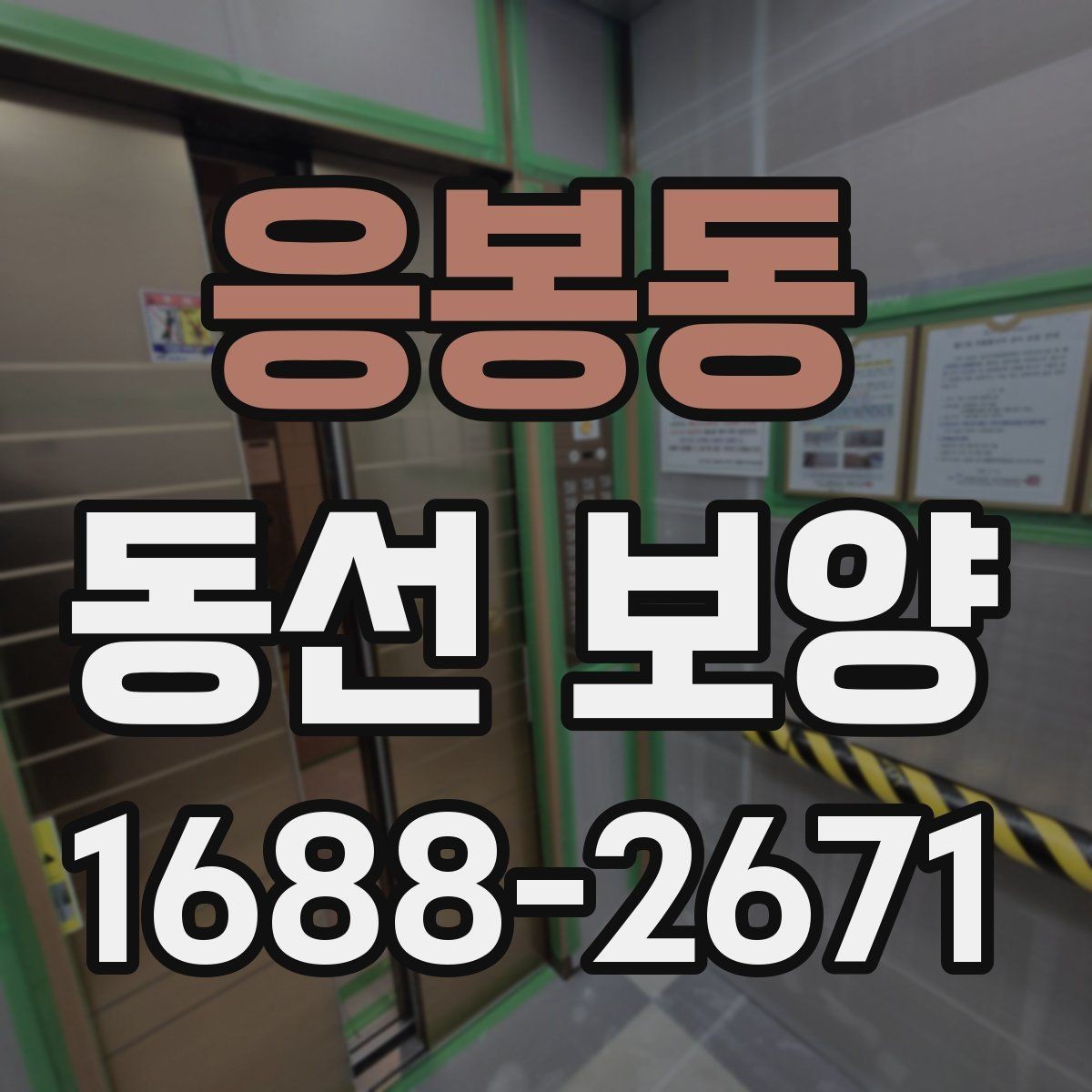응봉동 동선 보양 작업 품질을 확인하는 방법