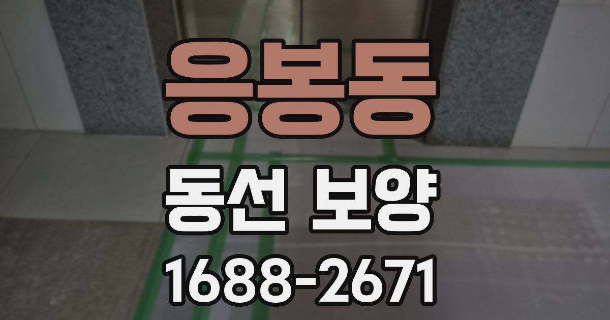 응봉동 동선 보양
