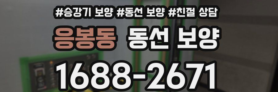 응봉동 동선 보양