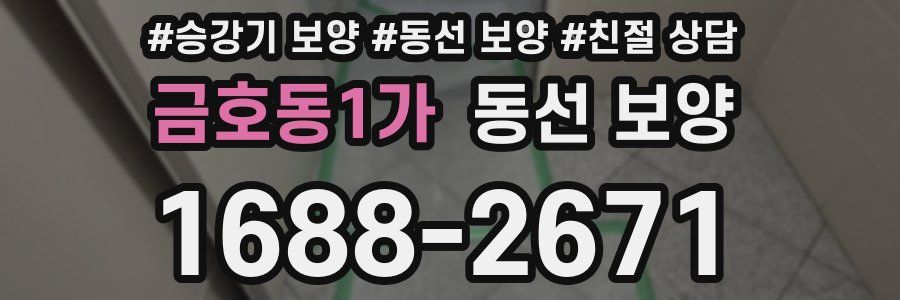 금호동1가 동선 보양