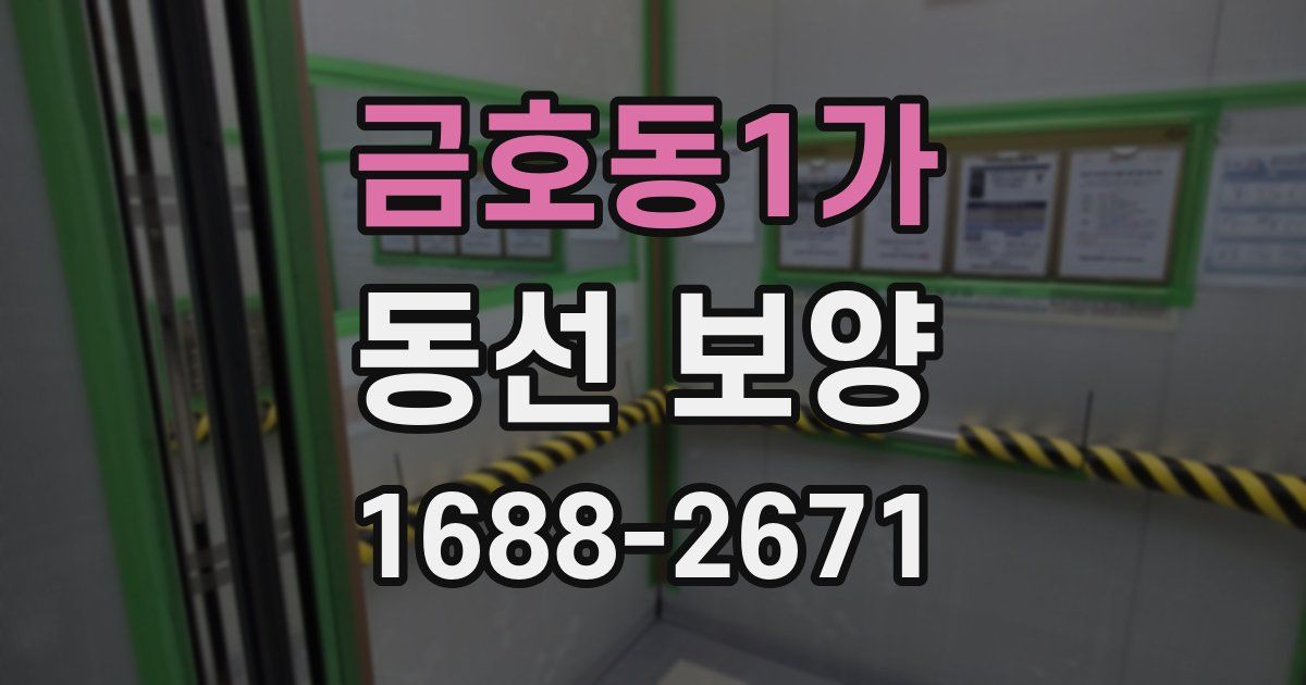 금호동1가 동선 보양