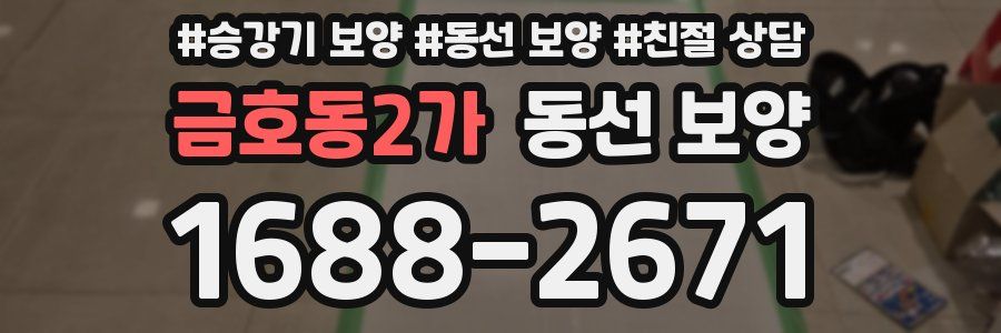 금호동2가 동선 보양