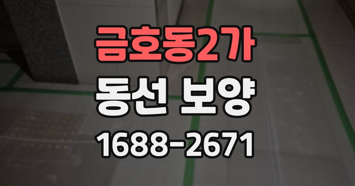 금호동2가 동선 보양