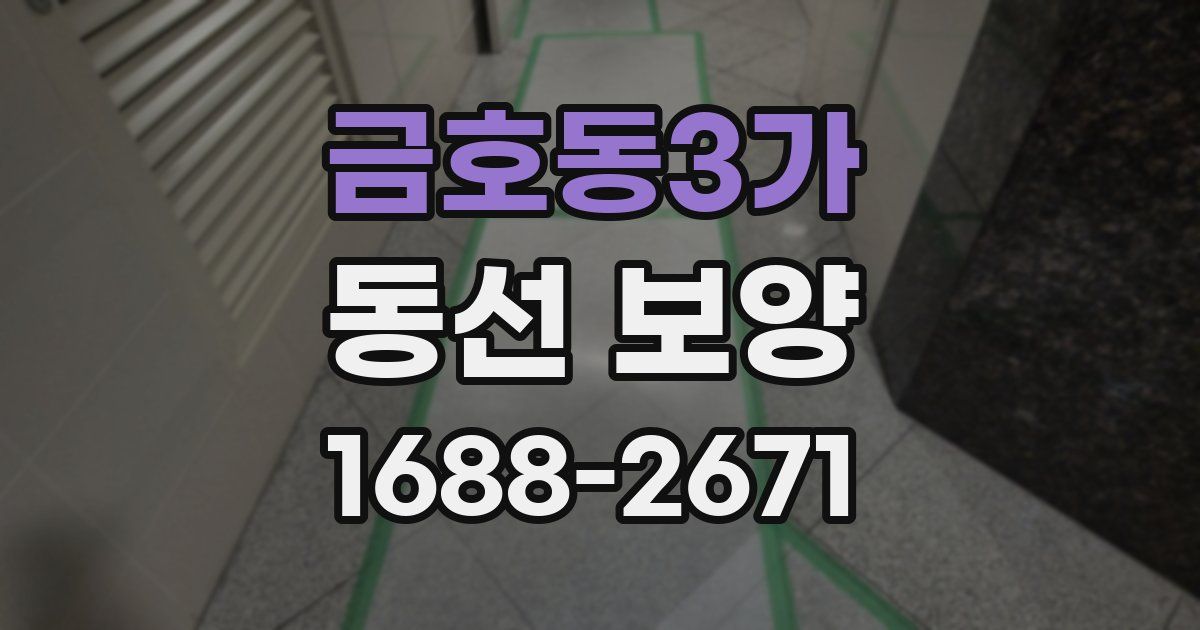 금호동3가 동선 보양