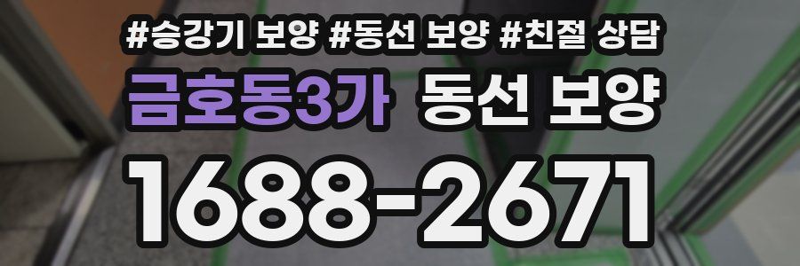 금호동3가 동선 보양