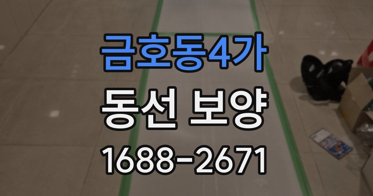 금호동4가 동선 보양