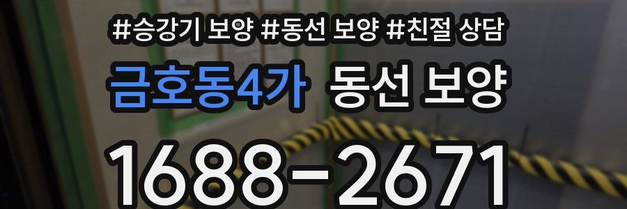 금호동4가 동선 보양