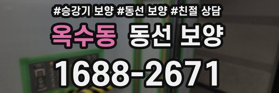 옥수동 동선 보양