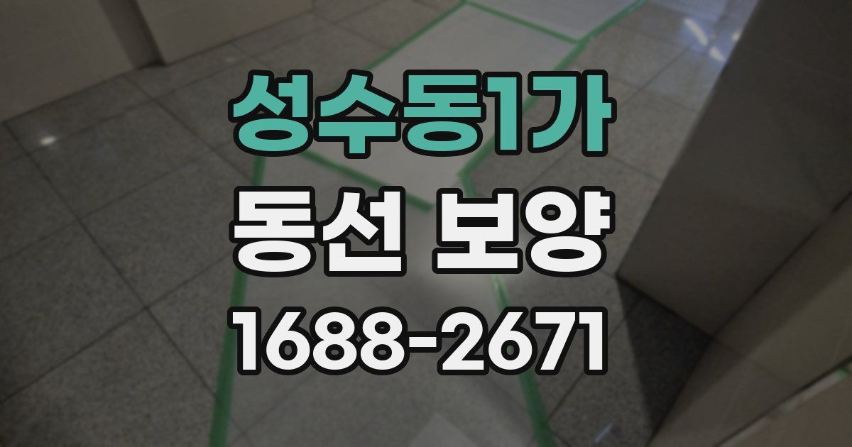 성수동1가 동선 보양