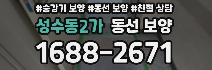 성수동2가 동선 보양