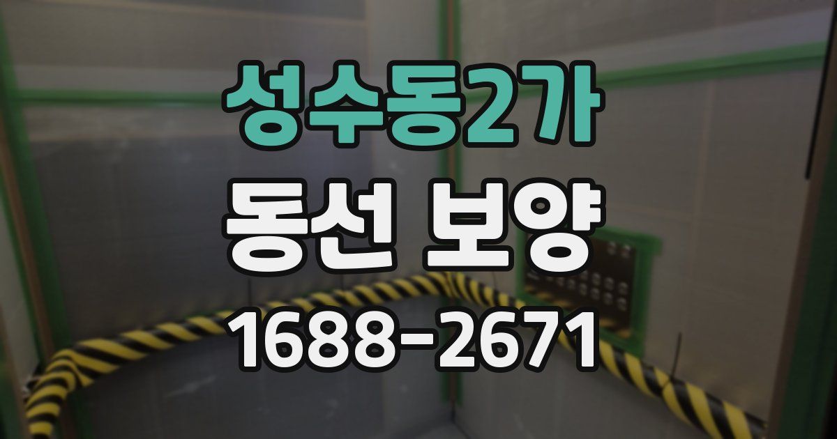 성수동2가 동선 보양