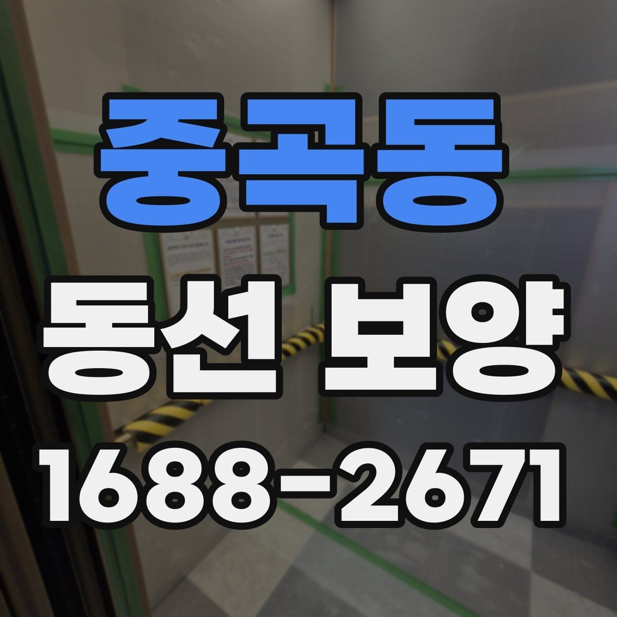 중곡동 동선 보양 일정 잡을 때 참고할 내용