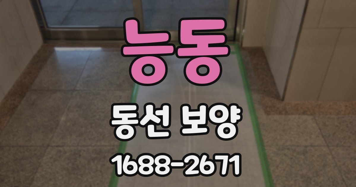 능동 동선 보양