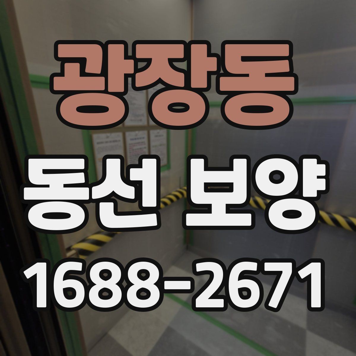 광장동 동선 보양 현장에 맞는 자재 선택 가이드