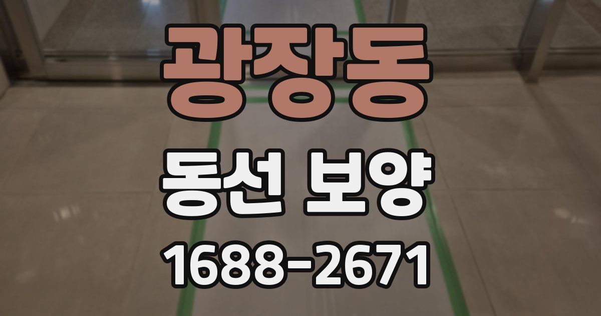 광장동 동선 보양