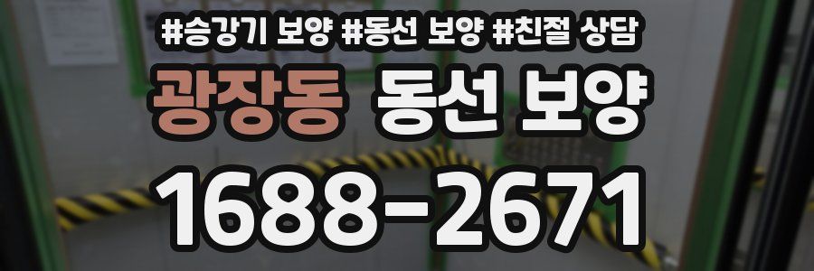 광장동 동선 보양