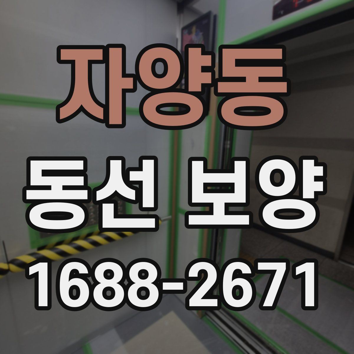자양동 동선 보양 비용 산정에 영향을 주는 요소