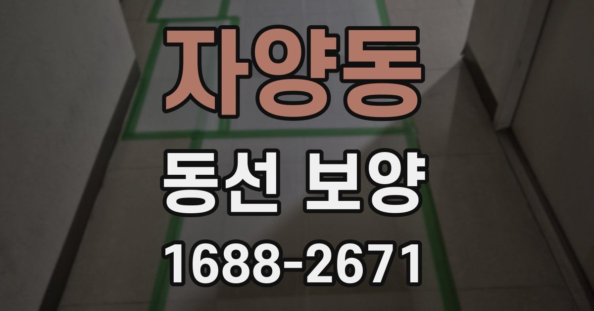 자양동 동선 보양