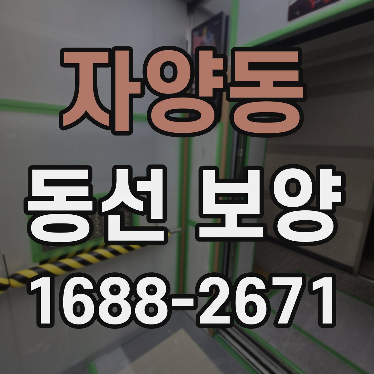 자양동 동선 보양
