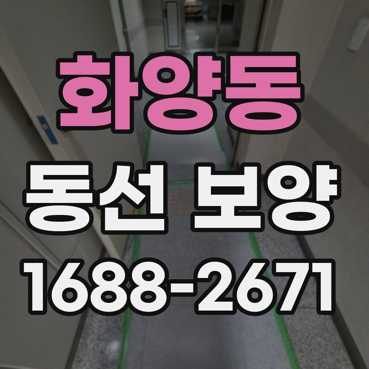 화양동 동선 보양 계획을 세울 때 고려할 요소