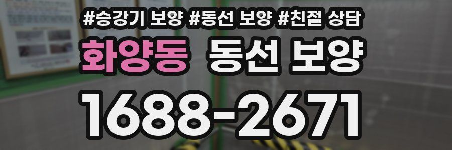 화양동 동선 보양