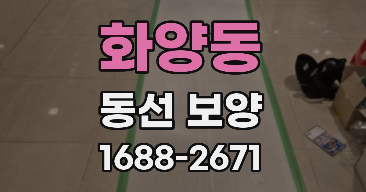 화양동 동선 보양