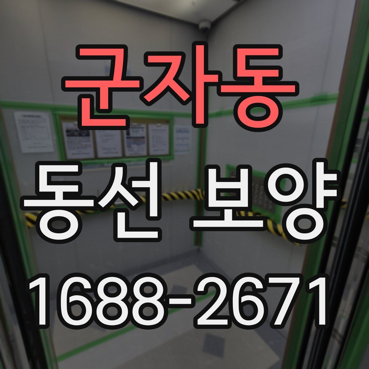 군자동 동선 보양 후 안전 관리까지 챙겨야 하는 이유