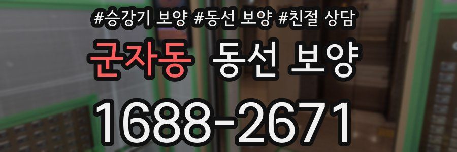 군자동 동선 보양