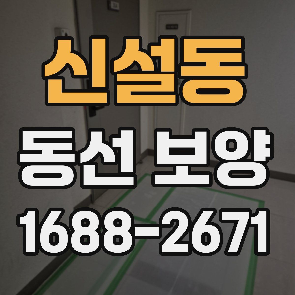 신설동 동선 보양 작업 후 유지 관리 팁