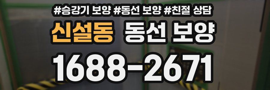신설동 동선 보양