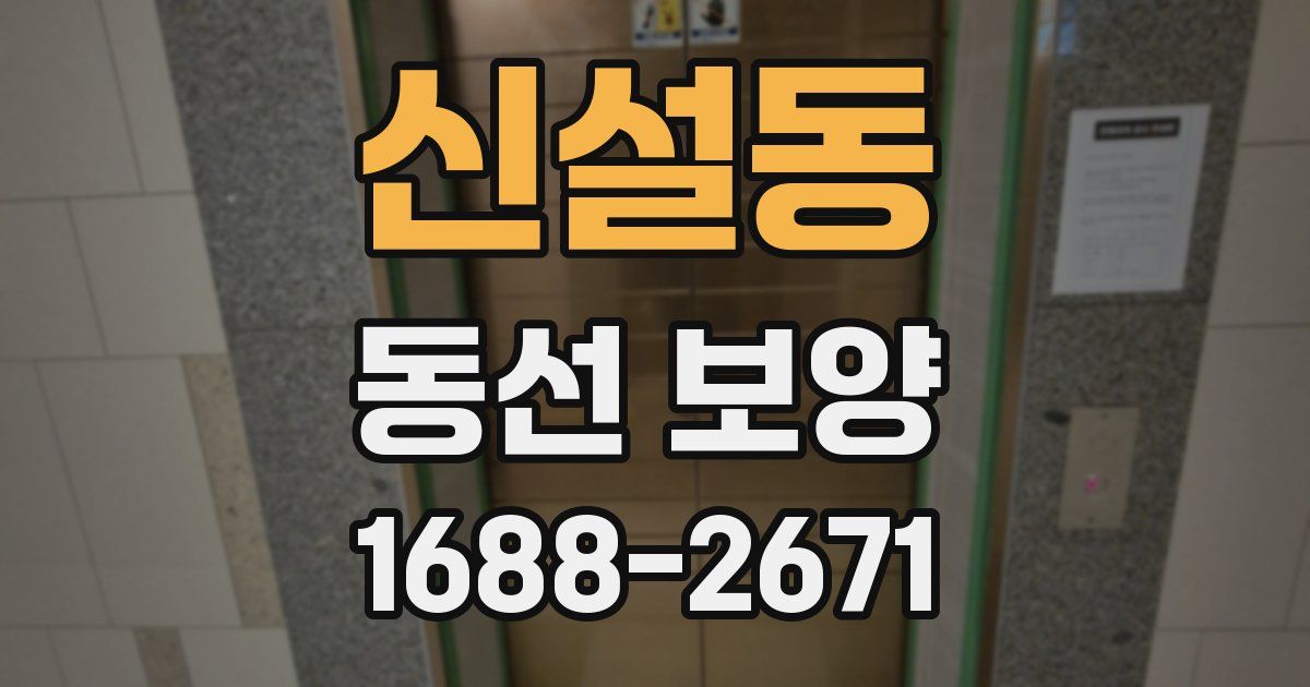 신설동 동선 보양
