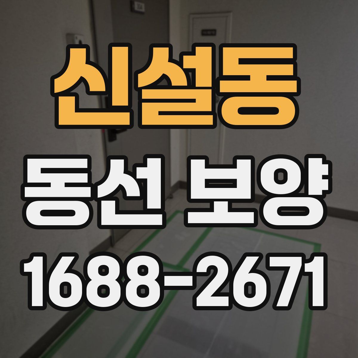 신설동 동선 보양