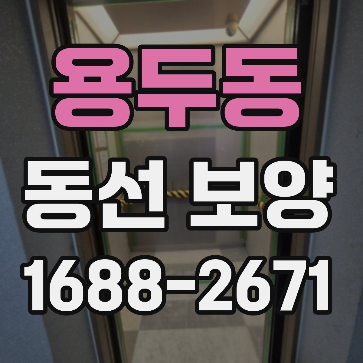 용두동 동선 보양 현장 사진으로 보는 시공 절차