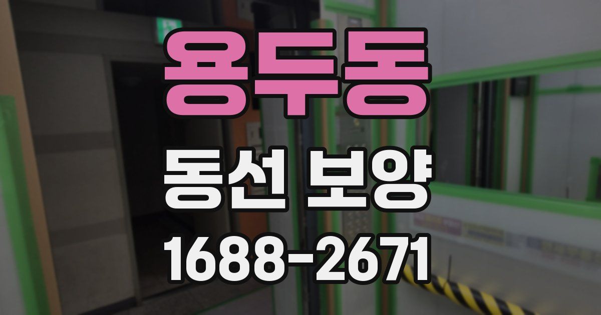 용두동 동선 보양