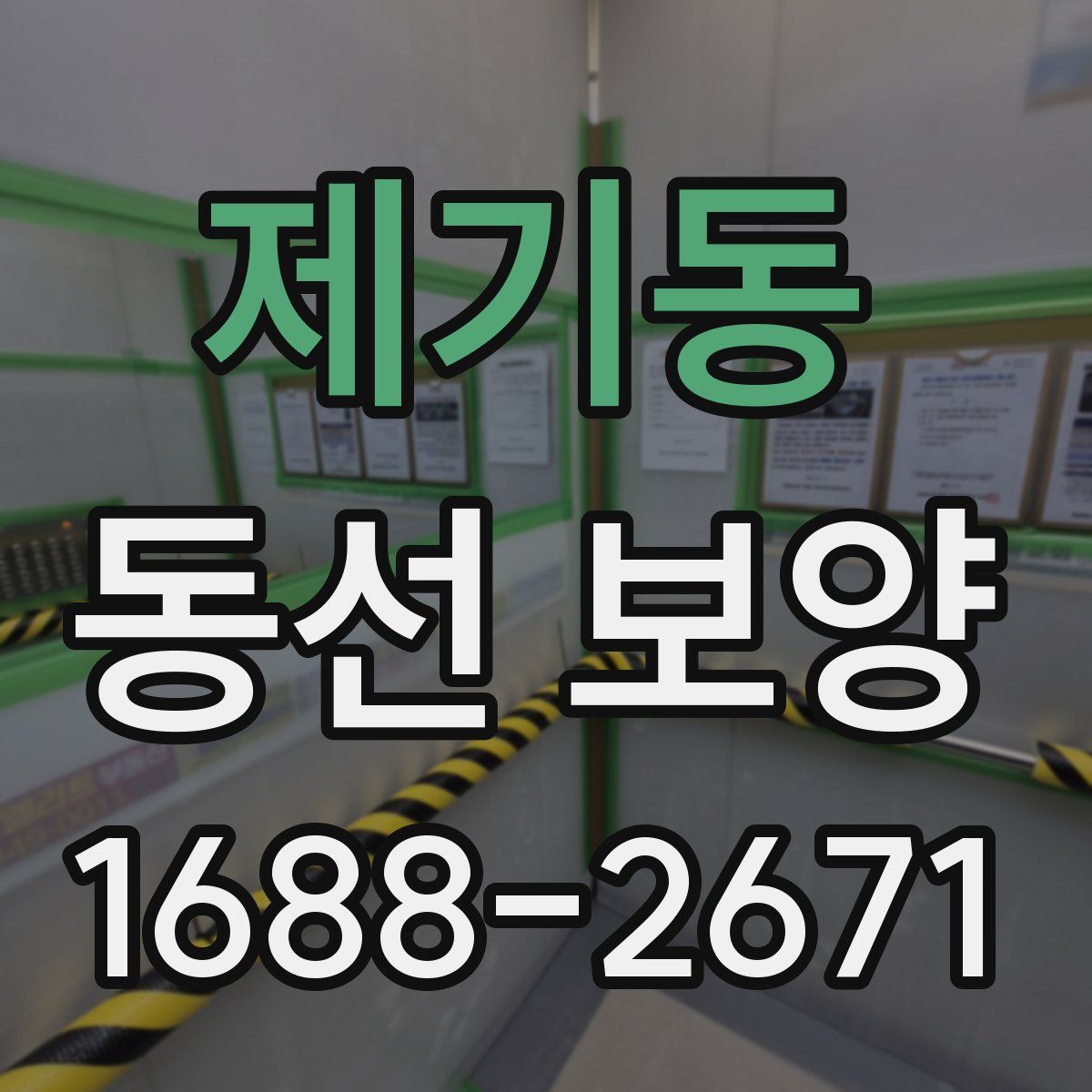 제기동 동선 보양