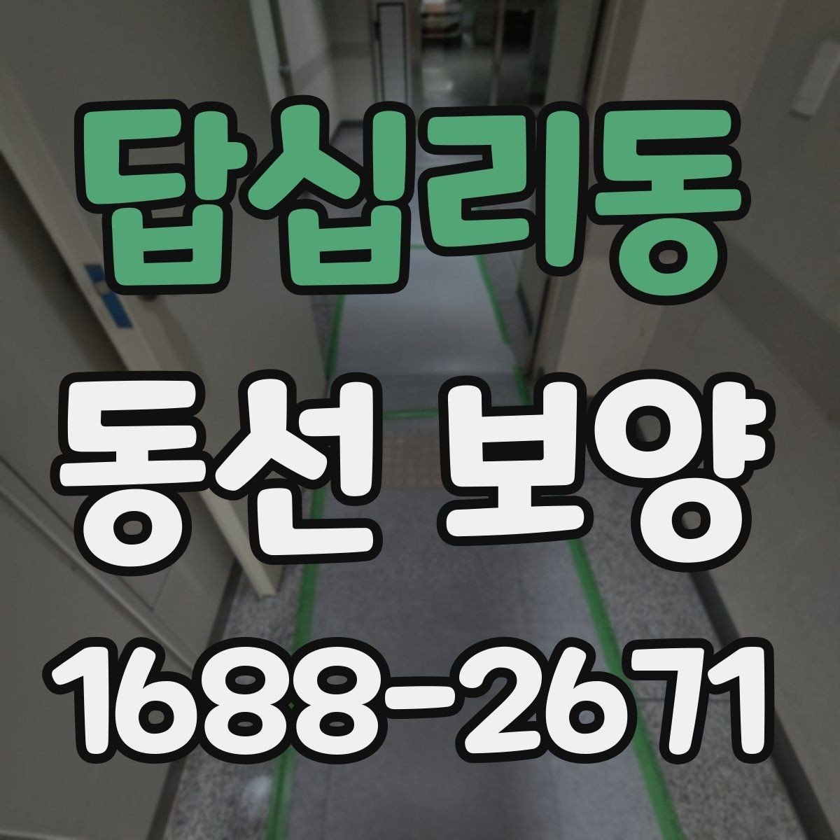 답십리동 동선 보양 작업 후 관리 방법 안내