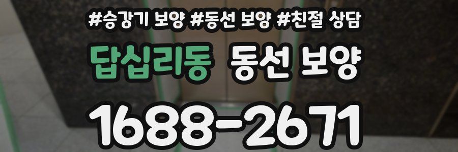 답십리동 동선 보양
