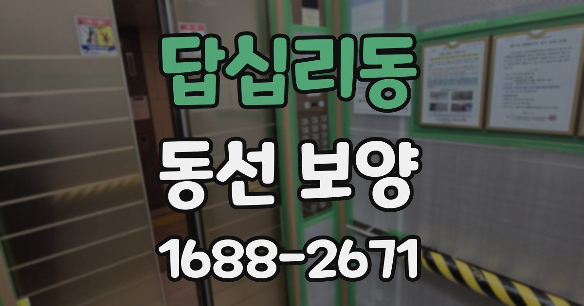 답십리동 동선 보양