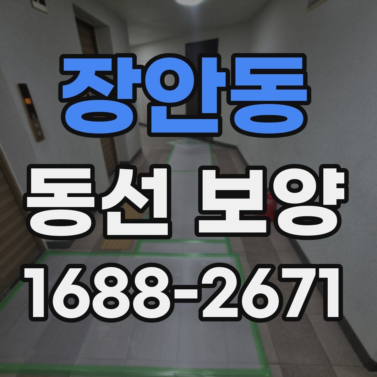 장안동 동선 보양 작업에서 자주 묻는 질문 정리