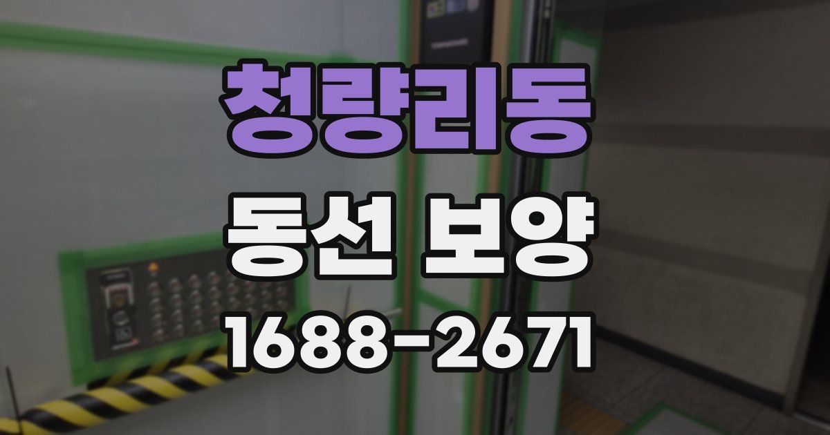 청량리동 동선 보양