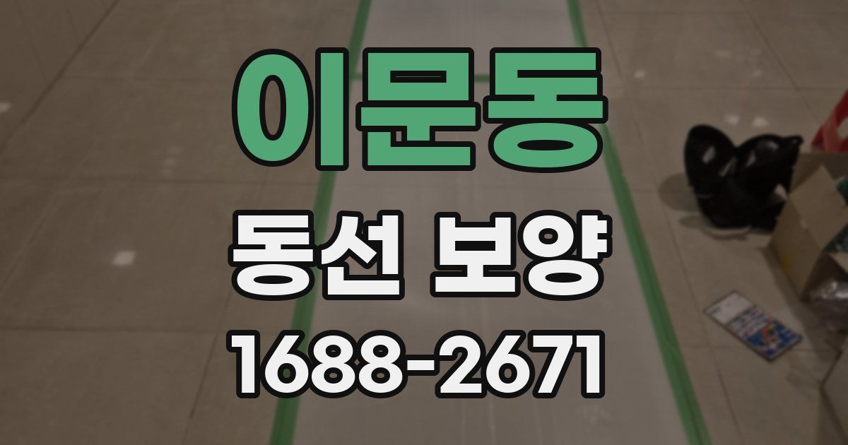 이문동 동선 보양