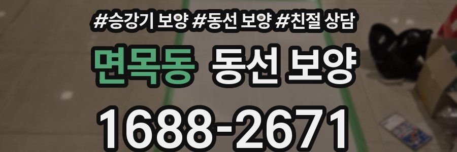 면목동 동선 보양