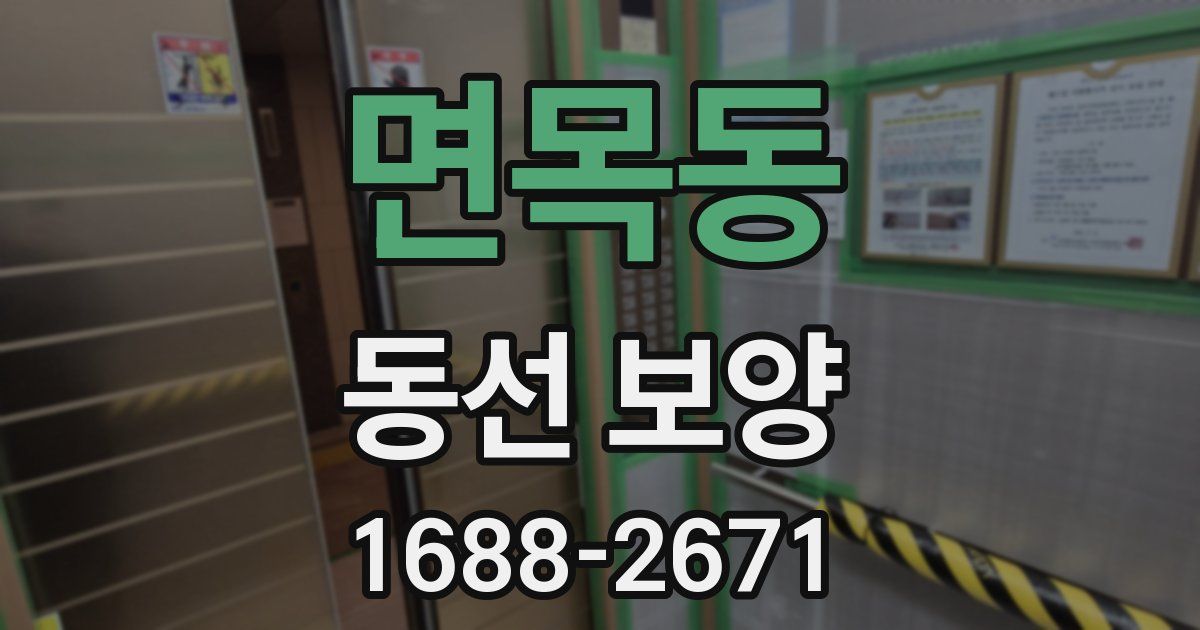 면목동 동선 보양